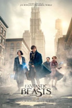Fantastic Beasts and Where 1 2 1