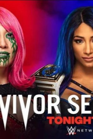 WWE Survivor Series 1